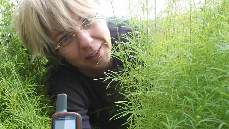 Über Stock und Stein und durchs Gebüsch: Schnitzeljagd per Geocaching hat viele Anhänger, weiß Andrea Musiol.  Foto: Markus Häggberg