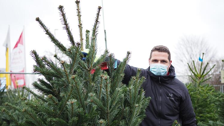 Die Weihnachtsbäume aus Dänemark werden unter anderem in Neustadt am Moos verkauft.  Foto: Cindy Dötschel