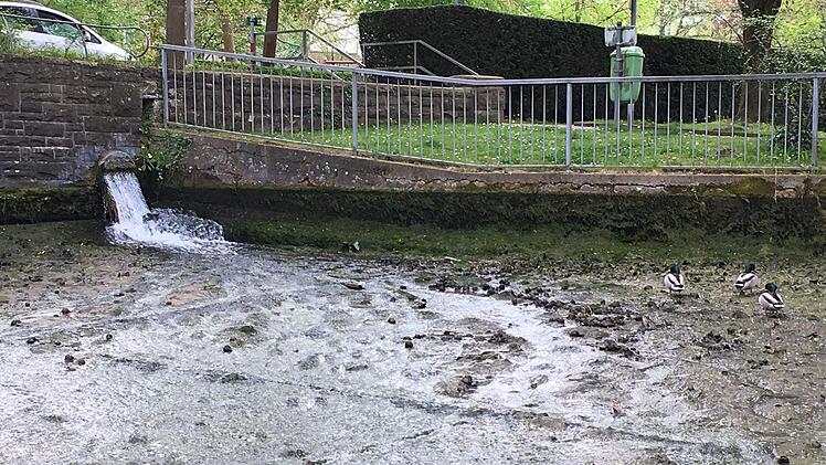 Auf dem Liebfrauensee bildet sich jedes Jahr ein dichter Algenteppich, der nicht nur unsch&ouml;n aussieht, sondern auch die Wasserqualit&auml;t mindert.