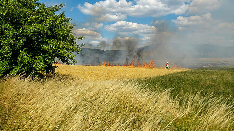Fünfte Flächenbrand innerhalb weniger Tage: Sechs Hektar Getreidefeld niedergebrannt