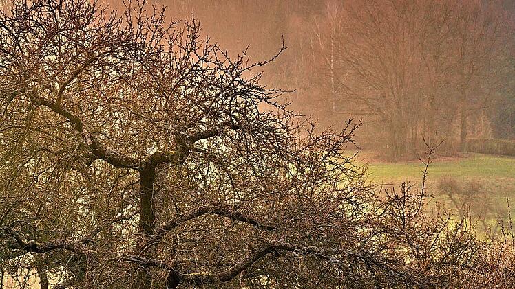 Blick auf die Altenburg aus ungewohnter Perspektive  Foto: Gerhard A. Müller