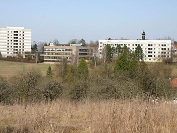 Zwei Abteilungen des Bezirksklinikums Obermain sollen an andere Orte verlagert werden. Archivbild: Matthias Einwag