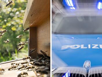 Frau in H&ouml;henm&ouml;lsen vermutlich von Bienen get&ouml;tet