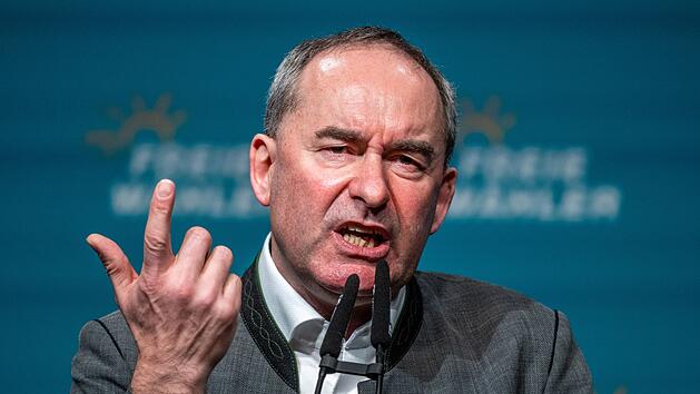 Neue Steuer soll fast jeden treffen - Aiwanger spricht von "Dummheit"