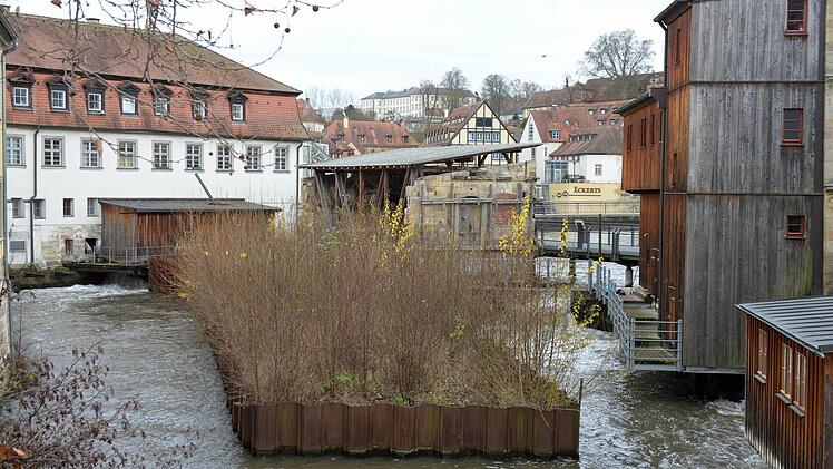 Vielen Bambergern ist das eingespundete Areal samt den Resten der Sterzersmühle dahinter ein Dorn im Auge. Foto: Ronald Rinklef