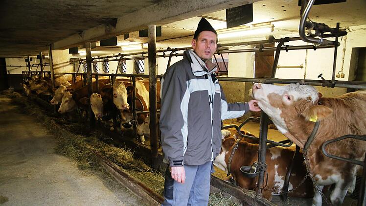 Auch Kühe mögen gekrault werden - Thomas Schmitt im Stall. Foto: Franz Galster