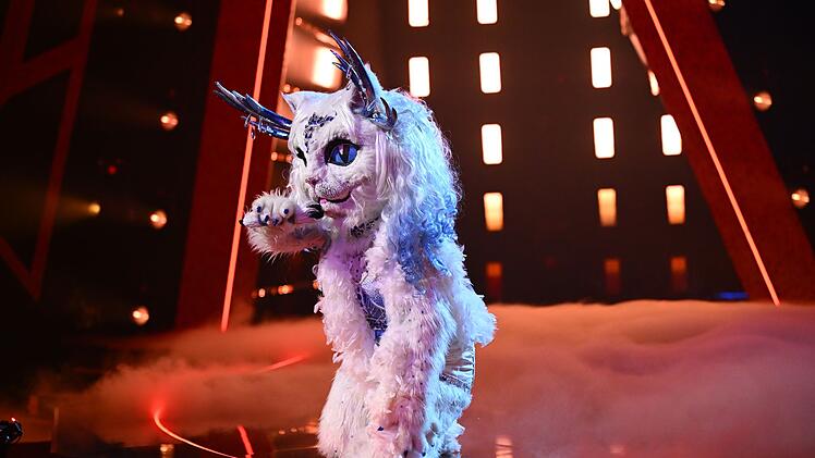 Yeti Cat er&ouml;ffnete das Finale mit "Let It Go" aus "Die Eisk&ouml;nigin". Verona Pooth glaubte bis zuletzt, dass es sich um Patricia Kelly handelte.