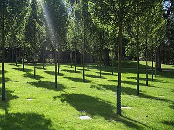 So könnte der Säulenhain im Oberrodacher Friedhof aussehen.Gartendesign Lauenstein