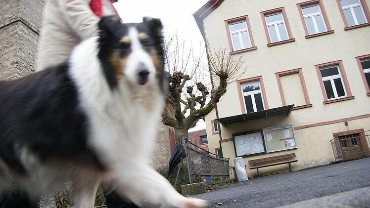 Balu geht auf dem Dorfplatz spazieren. Foto: Arkadius Guzy