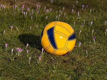 Auch wenn die ersten Frühlingsblumen sprießen, muss der Fußball in weiten Teilen des Kreises Kronach nochmals ruhen. Foto: Heinrich Weiß
