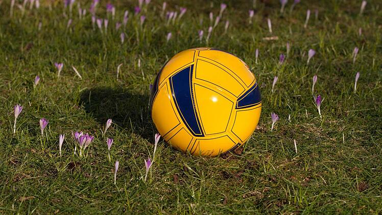 Auch wenn die ersten Frühlingsblumen sprießen, muss der Fußball in weiten Teilen des Kreises Kronach nochmals ruhen. Foto: Heinrich Weiß