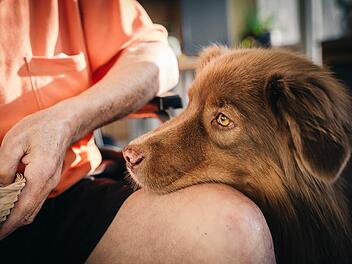 Mal Ruhe und Zuneigung, dann wieder wildes Spiel: Takoda passt sich der Gefühlslage der Patienten an. Gemeinsam mit Sozialpädagogin Birgit Rauh bringt der Therapiehund Freude in den Klinik-Alltag.  Fotos: Manuel Stark