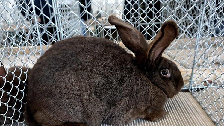 Foto: Richard Sänger