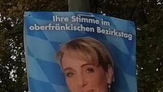 In Hitzmain hat die AfD ihre Plakate noch nicht abgehängt.Foto: Katrin Geyer