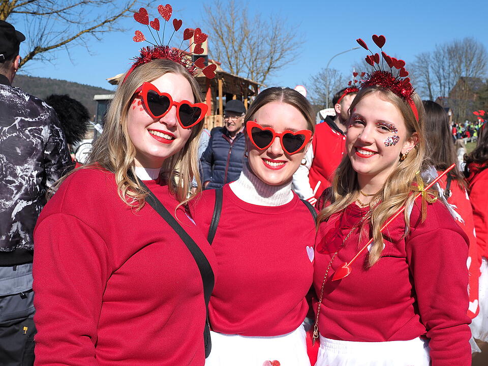 Buntes Faschingstreiben in Unterfranken!