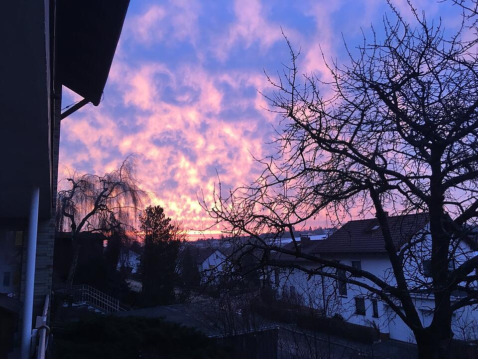 Die schönsten Frühlingsfotos aus Coburg und Umgebung