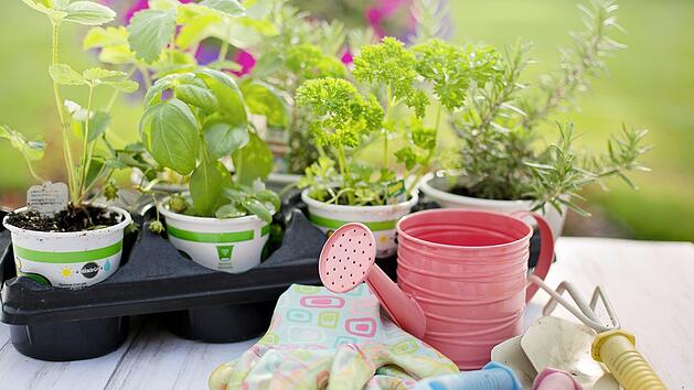 Gartengeräte: Die Helfer für die Gartenpflege