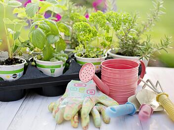 Gartengeräte: Die Helfer für die Gartenpflege