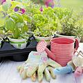 Gartengeräte: Die Helfer für die Gartenpflege