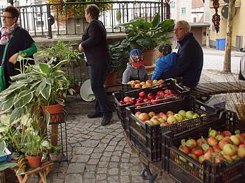 Pflanzen, Obst, Honig und Selbstgemachtes wurden beim Spätsommerfest in Eltmann angeboten.Sabine Weinbeer