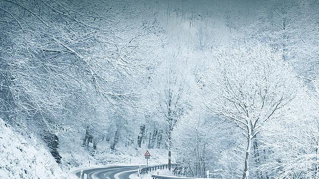 Zum Ende des meteorologischen Winters könnte es nochmals ungemütlich in der Region werden: Der "Deutsche Wetterdienst" warnt. Auch in Franken kann es zu staken Schneefällen und Schneebruch in den Wäldern kommen. Symbolfoto: Adobe Stock