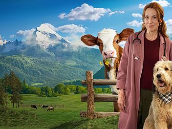 Mit "Die Maiwald" baut das ZDF sein fiktionales Angebot vor traumhafter Bergkulisse weiter aus. Im Zentrum der neuen Filmreihe steht die titelgebende Tier&auml;rztin Johanna Maiwald (Doris Schretzmayer), die im Salzburger Land lebt.