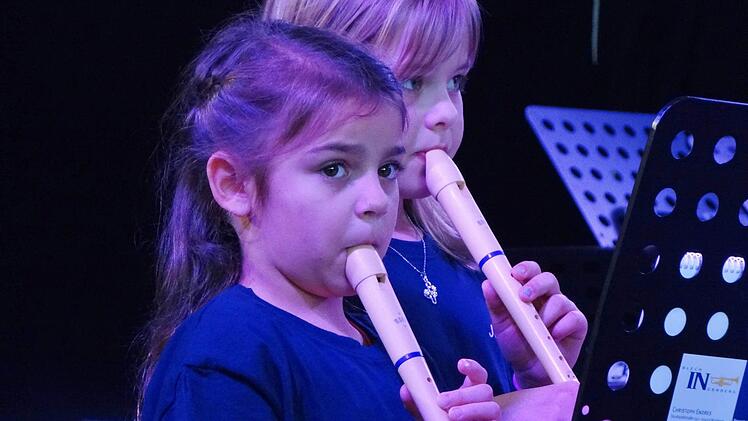 Diese beiden Mädchen lernen das Blockflötenspiel in der Blockflötenklasse der Grundschule in Königsberg. Die "Ausbildungsstätte Luftgeflüster" freut sich darüber, auch einen Platz in den Schulen zu bekommen. Derzeit wird in Schulen in Königsberg, Ebern, Sylbach, Ebensfeld und Augsfeld unterrichtet.