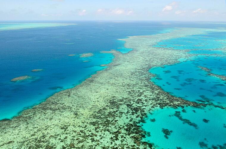 Hai verletzt Schnorchler am Great Barrier Reef