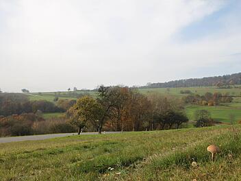 Die Straße von Züntersbach nach Schwarzenfels. Nun plant ein Investor aus Brandenburg in dem Gebiet einen Windpark. Foto: Ulrike Müller