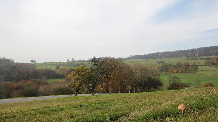 Die Straße von Züntersbach nach Schwarzenfels. Nun plant ein Investor aus Brandenburg in dem Gebiet einen Windpark. Foto: Ulrike Müller