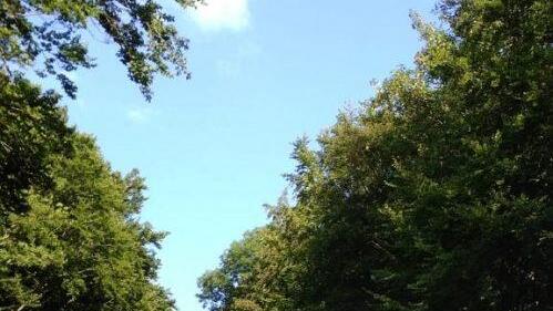 Vigilfeier auf Maria Ehrenberg Marion Eckert