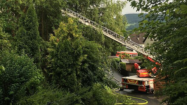 Foto: NEWS5 / Grundmann