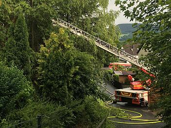 Foto: NEWS5 / Grundmann