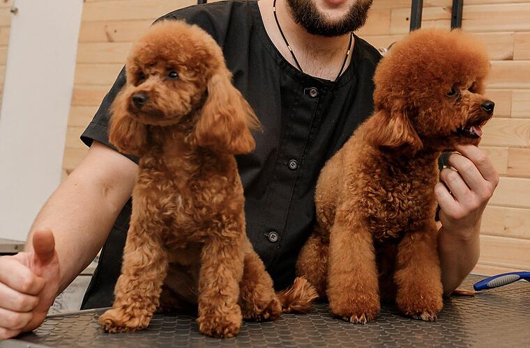 Ungeheuerlicher Fund im Kreis Kronach: Über 200 Tiere aus Haus befreit