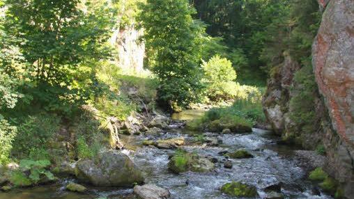 Die Natur wird hier in ein Korsett gepresst.