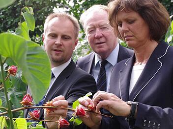 Staatsministerin Ilse Aigner nimmt die Pflanzen unter die Lupe. Hier erklärt Geschäftsführer Ralf Schmidt (links) ihr und MdB Hans Michelbach die Verwendungsmöglichkeiten der Hibiskuspflanze. Fotos: Marco Meißner/Veronika Schadeck