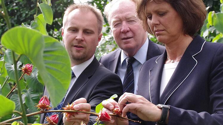 Staatsministerin Ilse Aigner nimmt die Pflanzen unter die Lupe. Hier erklärt Geschäftsführer Ralf Schmidt (links) ihr und MdB Hans Michelbach die Verwendungsmöglichkeiten der Hibiskuspflanze. Fotos: Marco Meißner/Veronika Schadeck