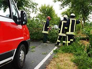 Aufgrund des Unwetters in der Nacht auf Sonntag war die Feuerwehr im Großraum Nürnberg stark gefordert. Symbolfoto: Christian Stoll/Adobe Stock