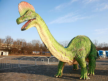 Bayreuth: Mobile Dinosaurier-Ausstellung macht in Stadt Halt - was die Besucher erwartet