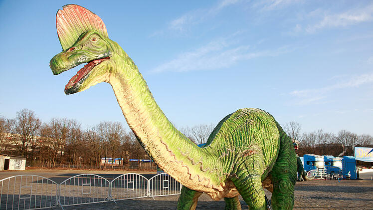 Bayreuth: Mobile Dinosaurier-Ausstellung macht in Stadt Halt - was die Besucher erwartet