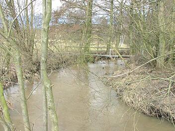Die Rauhe Ebrach prägt die Landschaft und gibt der Gemeinde im Steigerwald ihren Namen.  Foto: Archiv