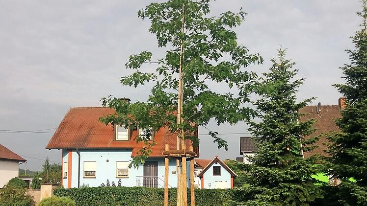 Das Urnenhochbeet im Frensdorfer Friedhof Foto: Jakobus Kötzner