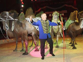 Die Kamele sind Chefsache: Henry Frank persönlich hat die Tiere dressiert. Fotos: Sonja Adam
