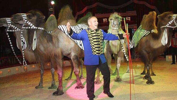 Die Kamele sind Chefsache: Henry Frank persönlich hat die Tiere dressiert. Fotos: Sonja Adam