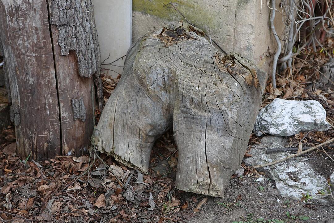 Pautzfeld; Gemeindeseite; Landkreis Forchheim; Foto: Barbara Herbst
