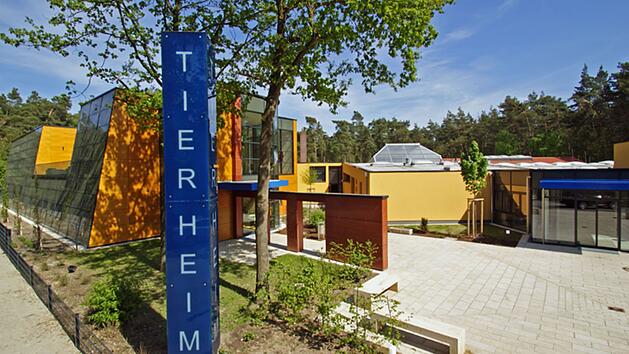 Tierheim N&uuml;rnberg erz&auml;hlt unglaubliche Hunde-Geschichte: "Wie b&ouml;sartig"