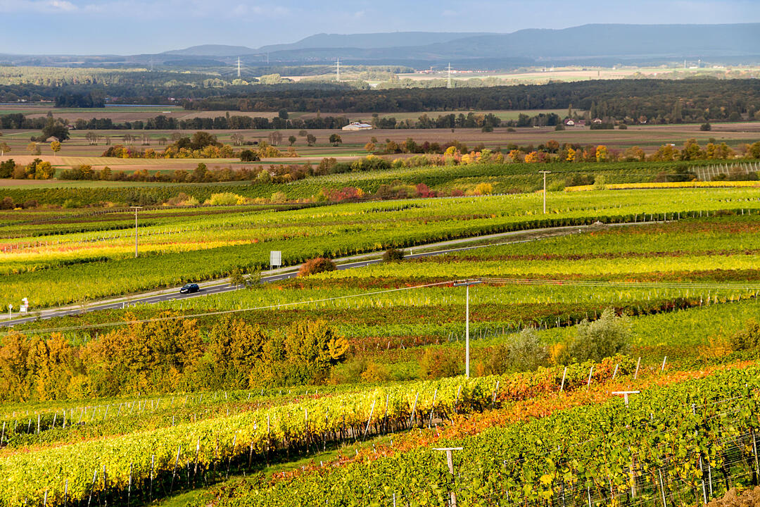 Fotos Konrad Thomann