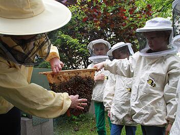 Andrea Musiol (links), Biologin, Imkerin und Mitarbeiterin der Umweltstation des Landkreises, begleitet die Bienen-AGs an mehreren Grundschulen und nimmt dabei Kindern die Angst vor dem direkten Kontakt zu den nektarsammelnden und generell nicht angriffslustigen Insekten. Das Bild entstand in der Dr.-Roßbach-Schule in Lichtenfels. Foto: Ramona Popp