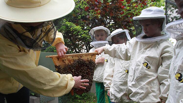 Andrea Musiol (links), Biologin, Imkerin und Mitarbeiterin der Umweltstation des Landkreises, begleitet die Bienen-AGs an mehreren Grundschulen und nimmt dabei Kindern die Angst vor dem direkten Kontakt zu den nektarsammelnden und generell nicht angriffslustigen Insekten. Das Bild entstand in der Dr.-Roßbach-Schule in Lichtenfels. Foto: Ramona Popp