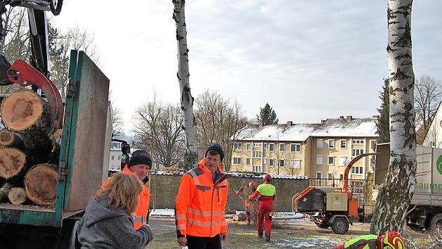 Der st&auml;dtische Baumkontrolleur Martin Friederich (links) und Peter Borst, Bereichsleiter Servicemanagement, beobachten das F&auml;llen des letzten Birkenstammes vor dem Parkfriedhof  Fotos: Sigismund von Dobsch&uuml;tz